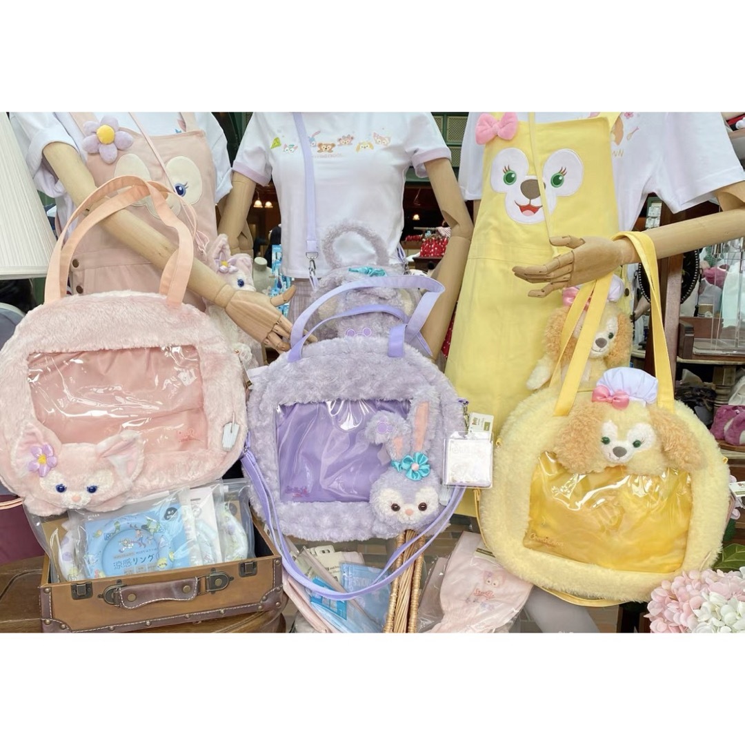 Disney - 【最新】ステラルー 2way収納バッグ ショルダーバッグ Disney - 【最新】ステラルー 2way収納バッグ ショルダーバッグ