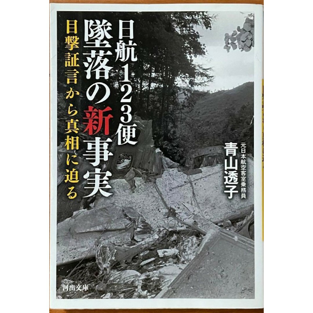 【新品 未使用】日航123便 墜落の新事実 目撃証言から真相に迫る 青山透子 エンタメ/ホビーの本(ビジネス/経済)の商品写真