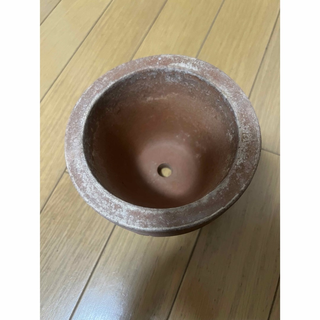 Supreme Poggi Ugo S Planter Terracotta プランター Supreme Poggi Ugo S Planter Terracotta プランター