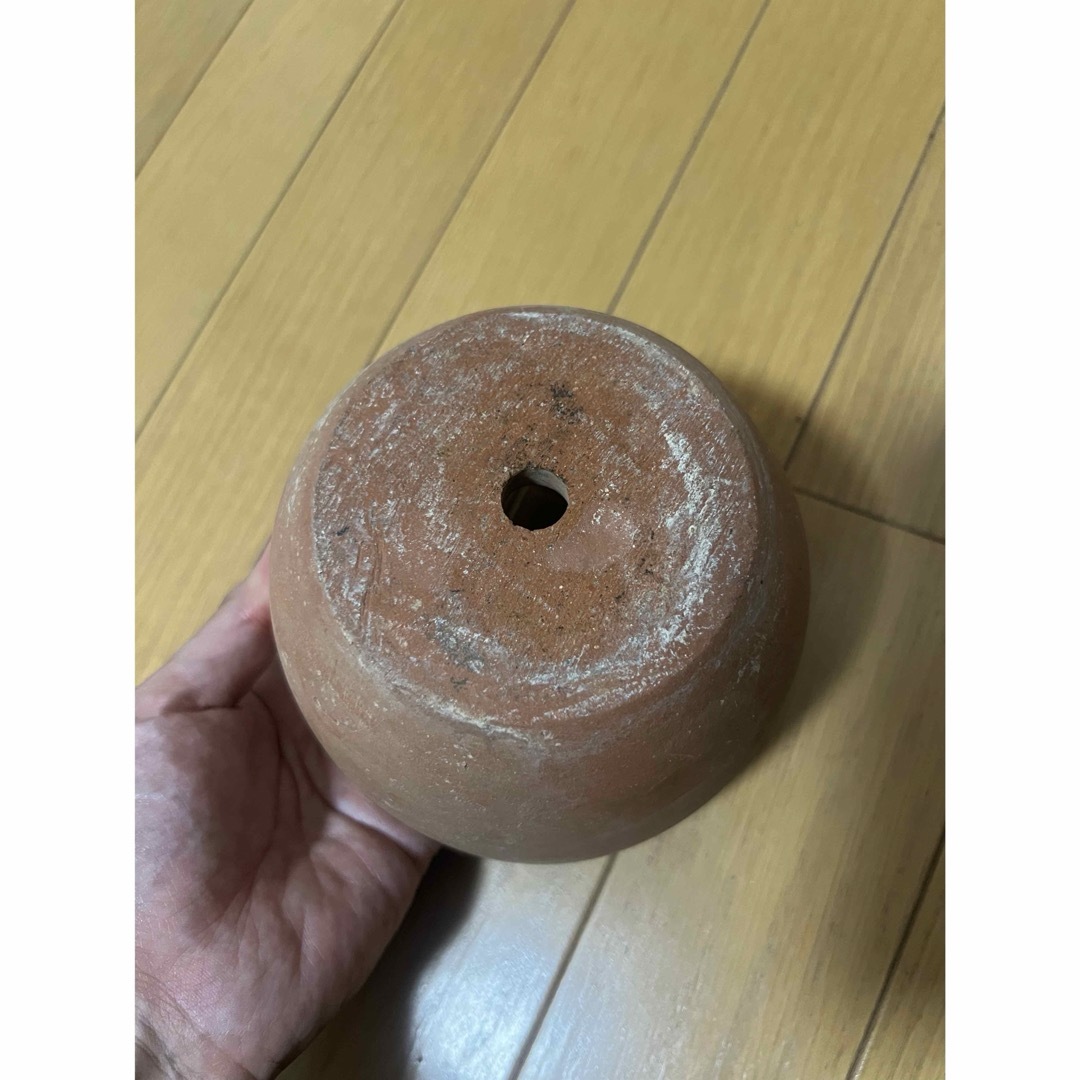 Supreme Poggi Ugo S Planter Terracotta プランター Supreme Poggi Ugo S Planter Terracotta プランター