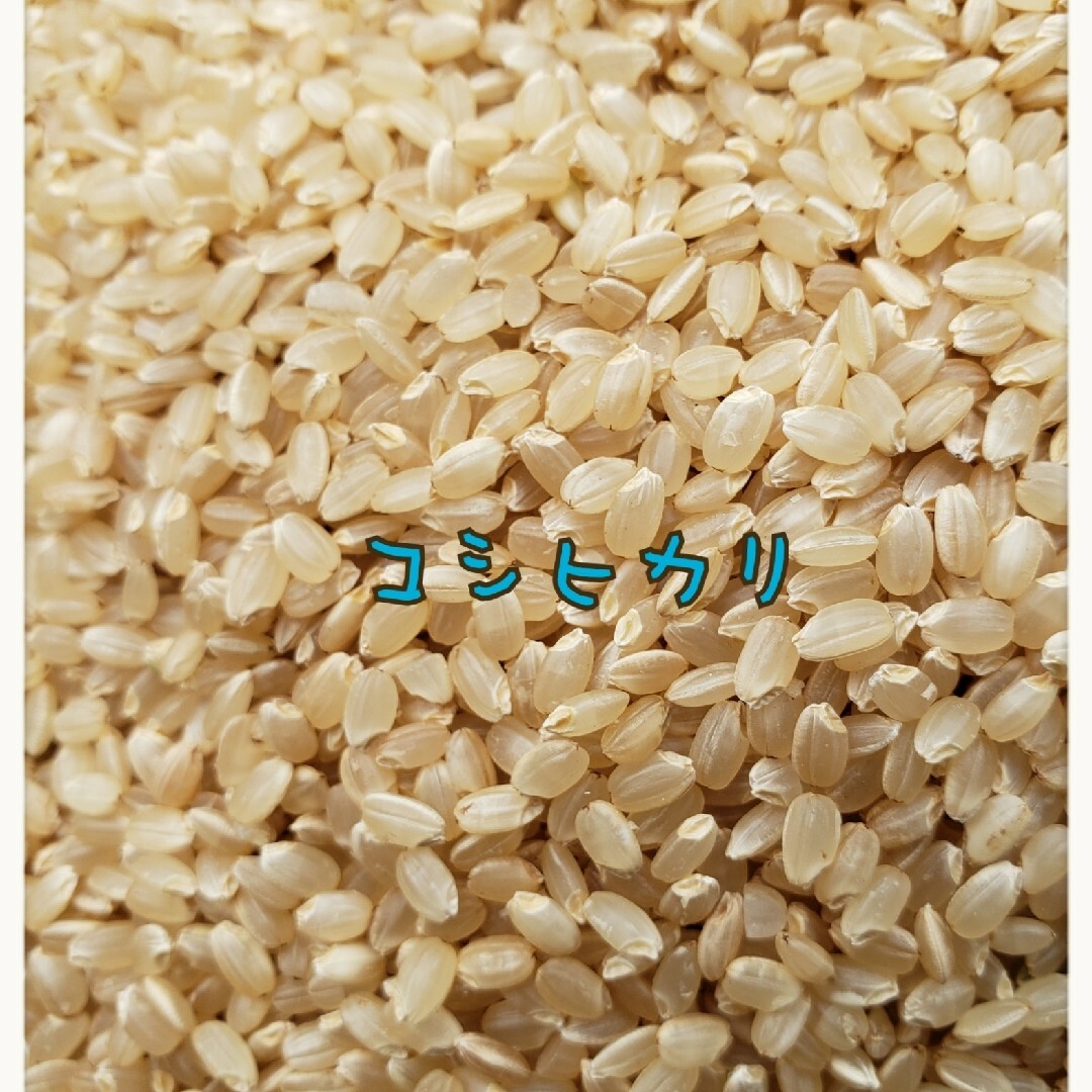 R6 新米コシヒカリ 定期購入者様 注文用 NO1 R6 新米コシヒカリ 定期購入者様 注文用 NO1