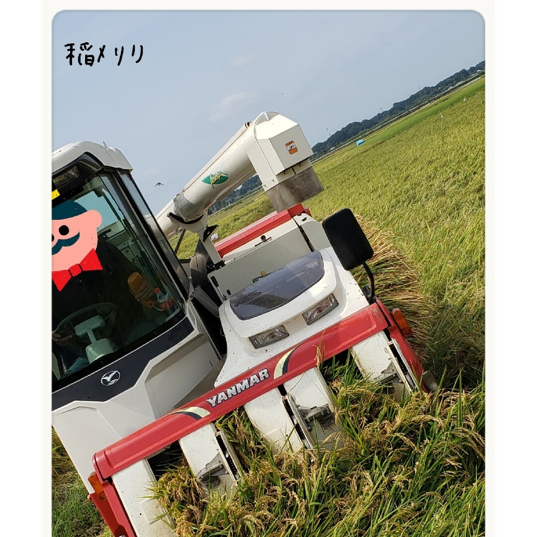 R6 新米コシヒカリ 定期購入者様 注文用 NO1 R6 新米コシヒカリ 定期購入者様 注文用 NO1