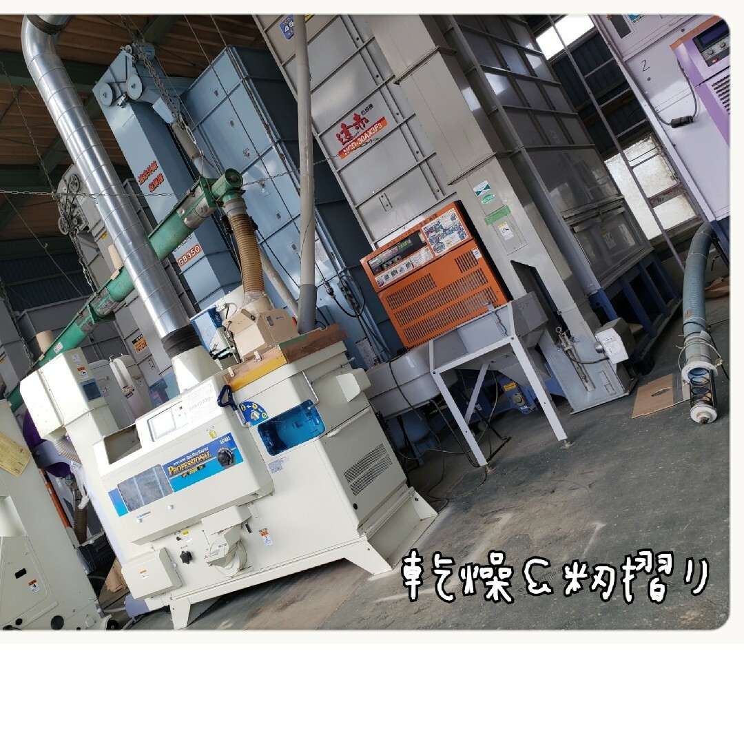 R6 新米コシヒカリ 定期購入者様 注文用 NO1 R6 新米コシヒカリ 定期購入者様 注文用 NO1