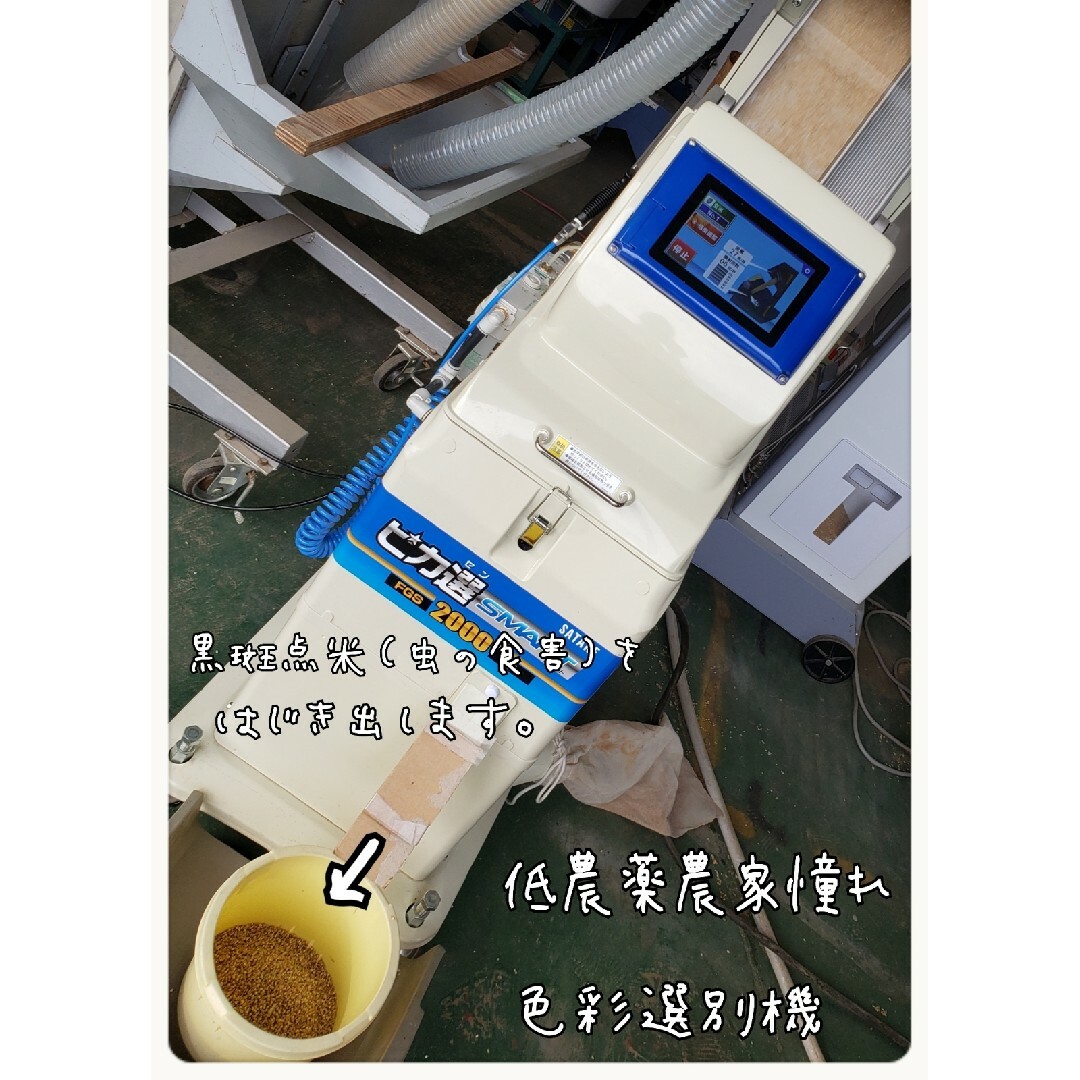 R6 新米コシヒカリ 定期購入者様 注文用 NO1 R6 新米コシヒカリ 定期購入者様 注文用 NO1