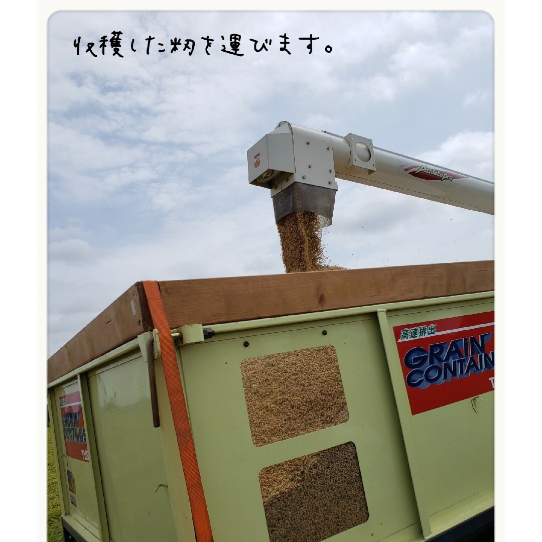 R6 新米コシヒカリ 定期購入者様 注文用 NO1 R6 新米コシヒカリ 定期購入者様 注文用 NO1