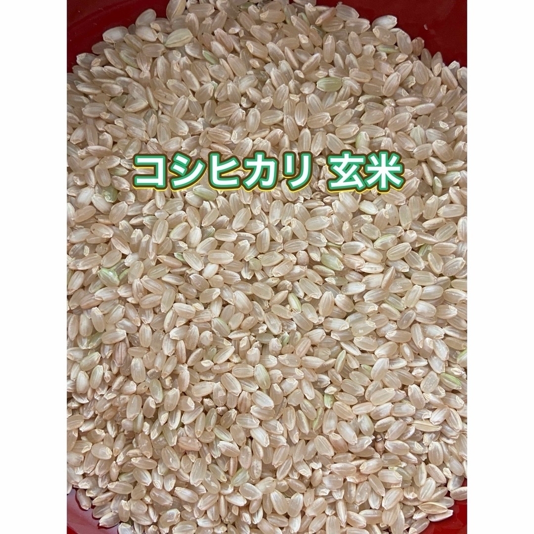 令和6年 新米 コシヒカリ 玄米30kg(白米27キロ)埼玉北川辺産 令和6年 新米 コシヒカリ 玄米30kg(白米27キロ)埼玉北川辺産