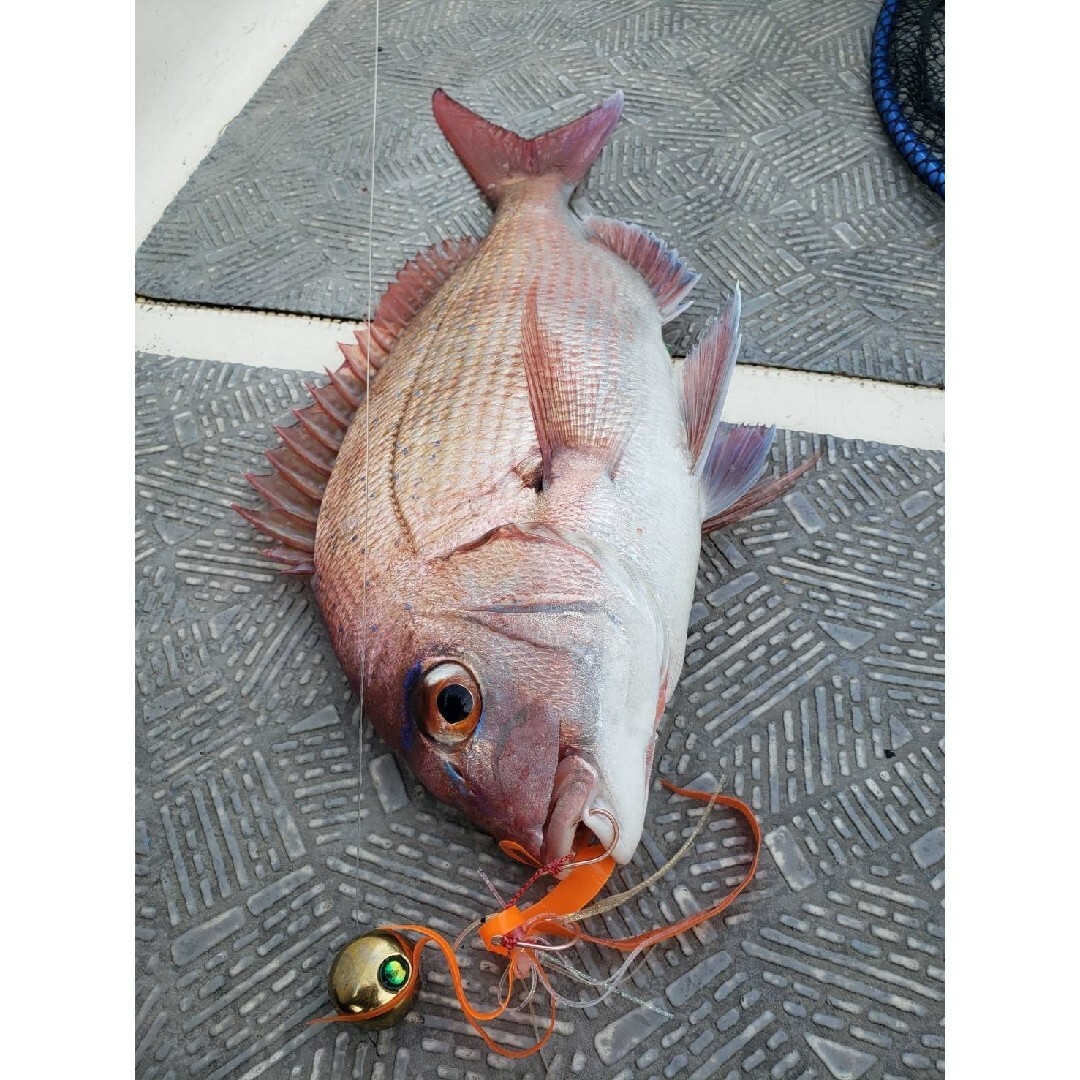 タングステン タイラバ タイラバヘッド 鯛ラバジグ オレンジ 150g3個の通販 by Dk|ラクマ タングステン タイラバ タイラバヘッド 鯛ラバジグ オレンジ 150g3個の通販 by Dk|ラクマ