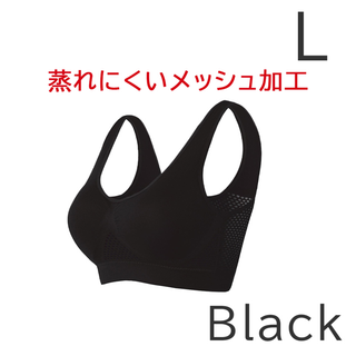 ヴィアージュ(VIAGE)のみーたん様専用 Lサイズ black 2枚(ブラ)