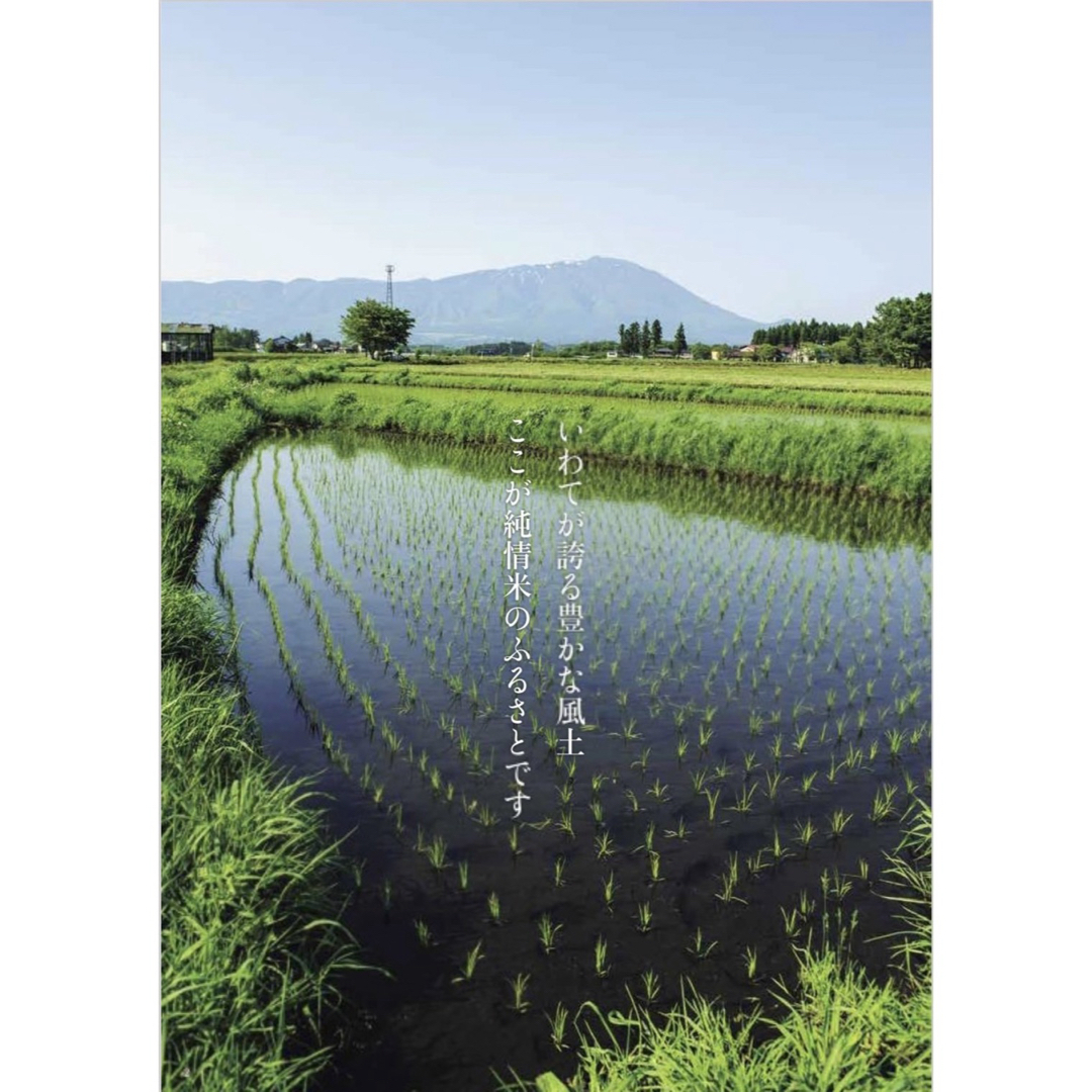 お米 精米【岩手県産ひとめぼれ30kg】5kg×6 モチモチ柔らか♪ 食品 お米 精米【岩手県産ひとめぼれ30kg】5kg×6 モチモチ柔らか♪ 食品
