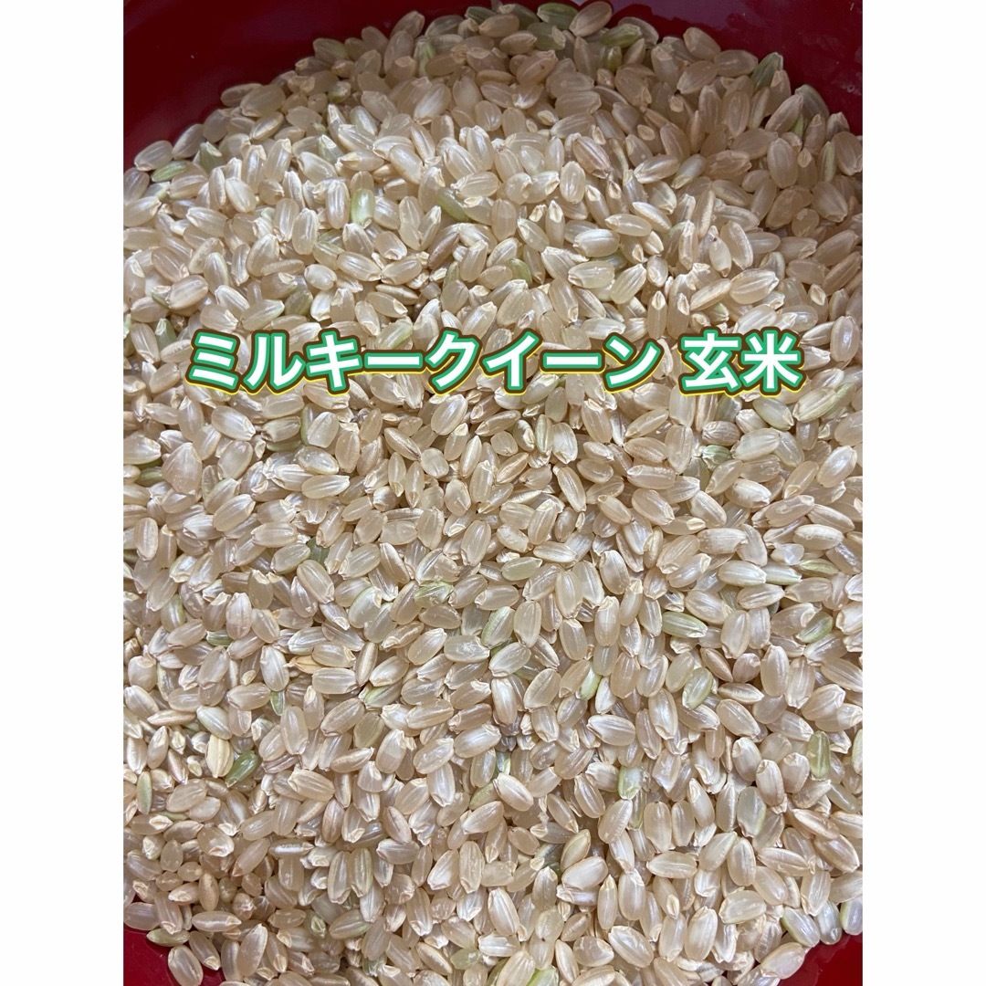 令和6年新米ミルキークイーン玄米30kg(白米27キロ)埼玉北川辺 令和6年新米ミルキークイーン玄米30kg(白米27キロ)埼玉北川辺
