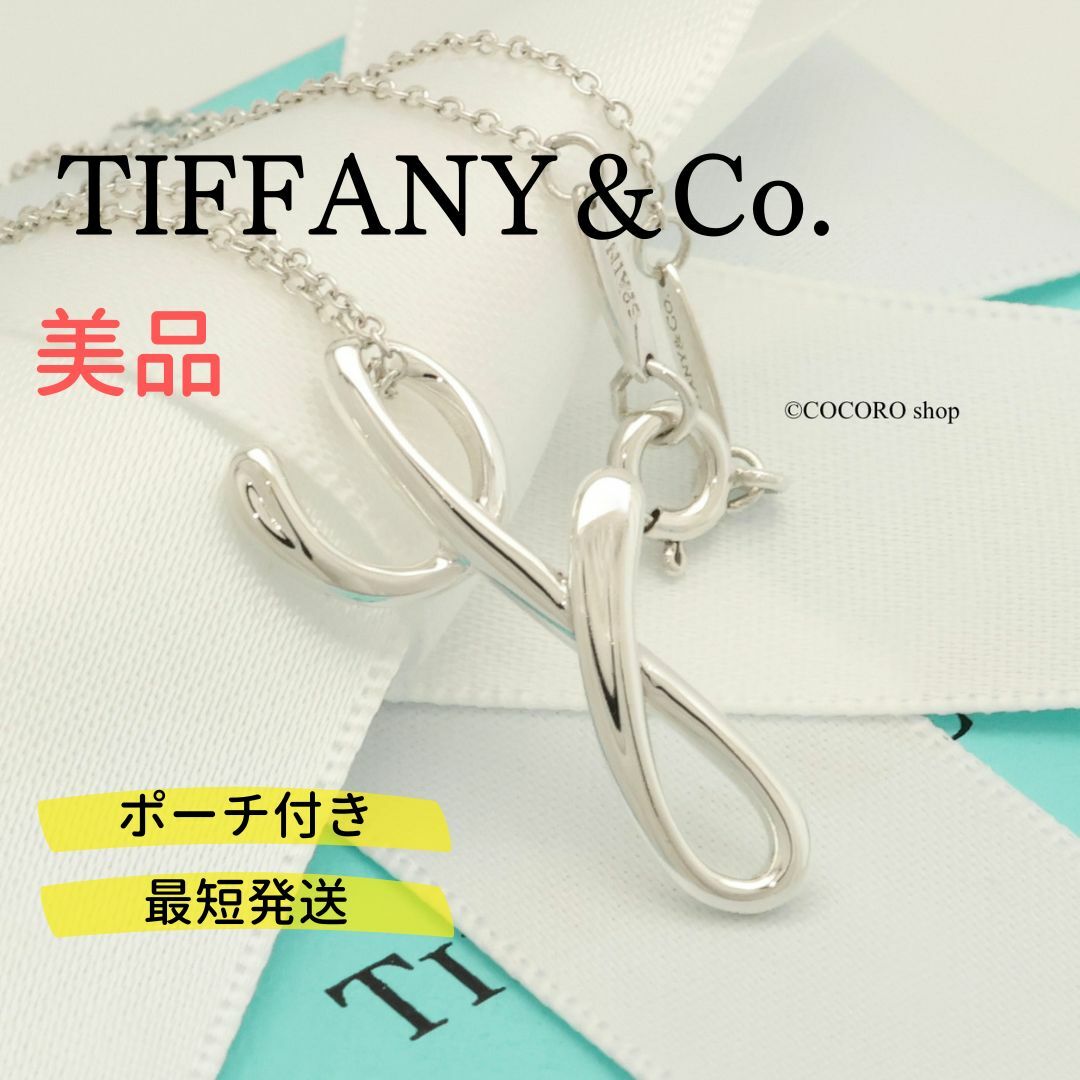 【SEAL限定商品】 美品】TIFFANY&Co. ノーツ レター イニシャル Y ネックレス アクセサリー