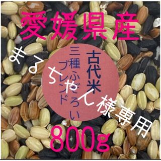 まるちゃん様専用 古代米3種ふぞろいブレンド　愛媛県産　800ｇ(米/穀物)