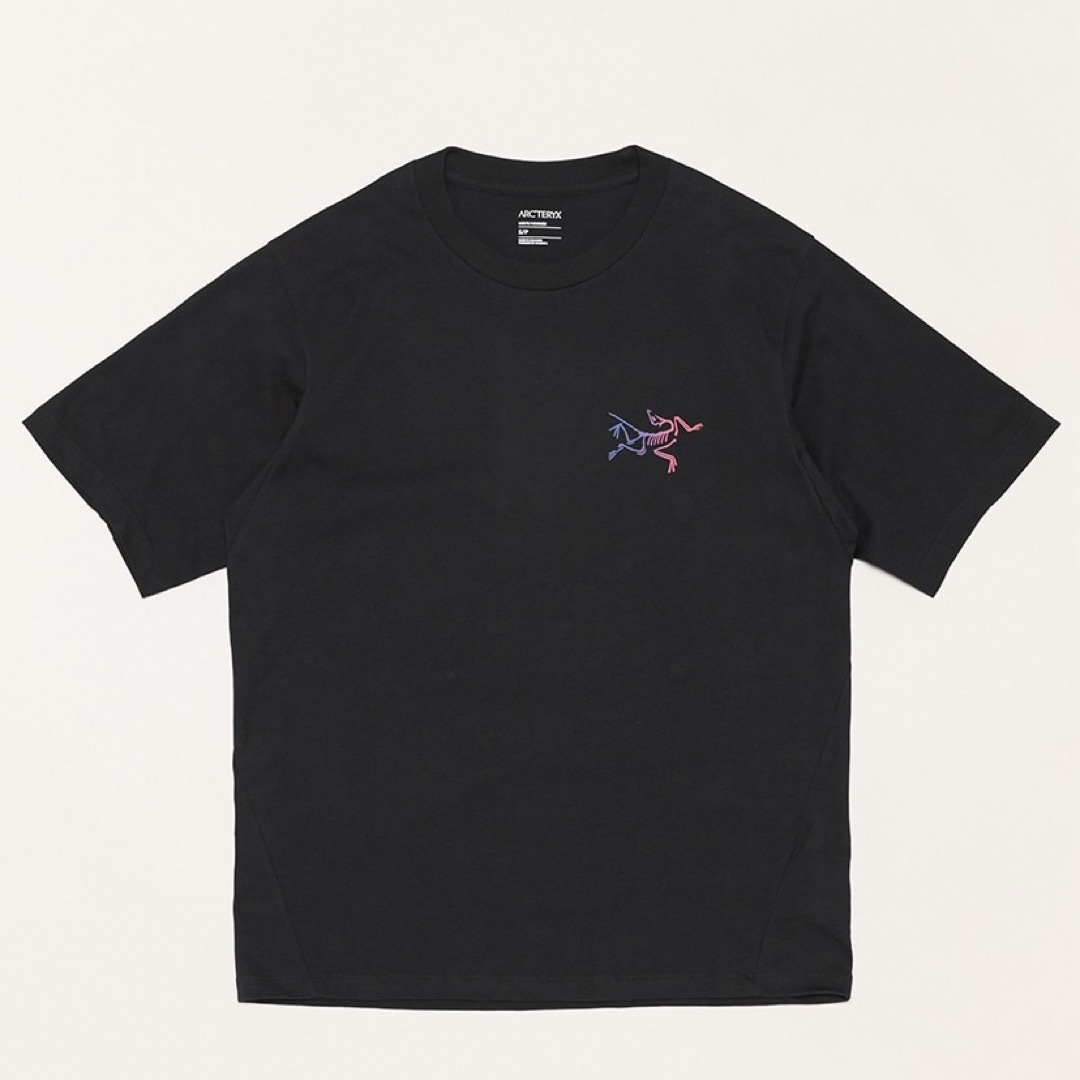 ARC'TERYX - ARC'TERYX アークテリクス クラグコットンロゴ T ARC'TERYX - ARC'TERYX アークテリクス クラグコットンロゴ T