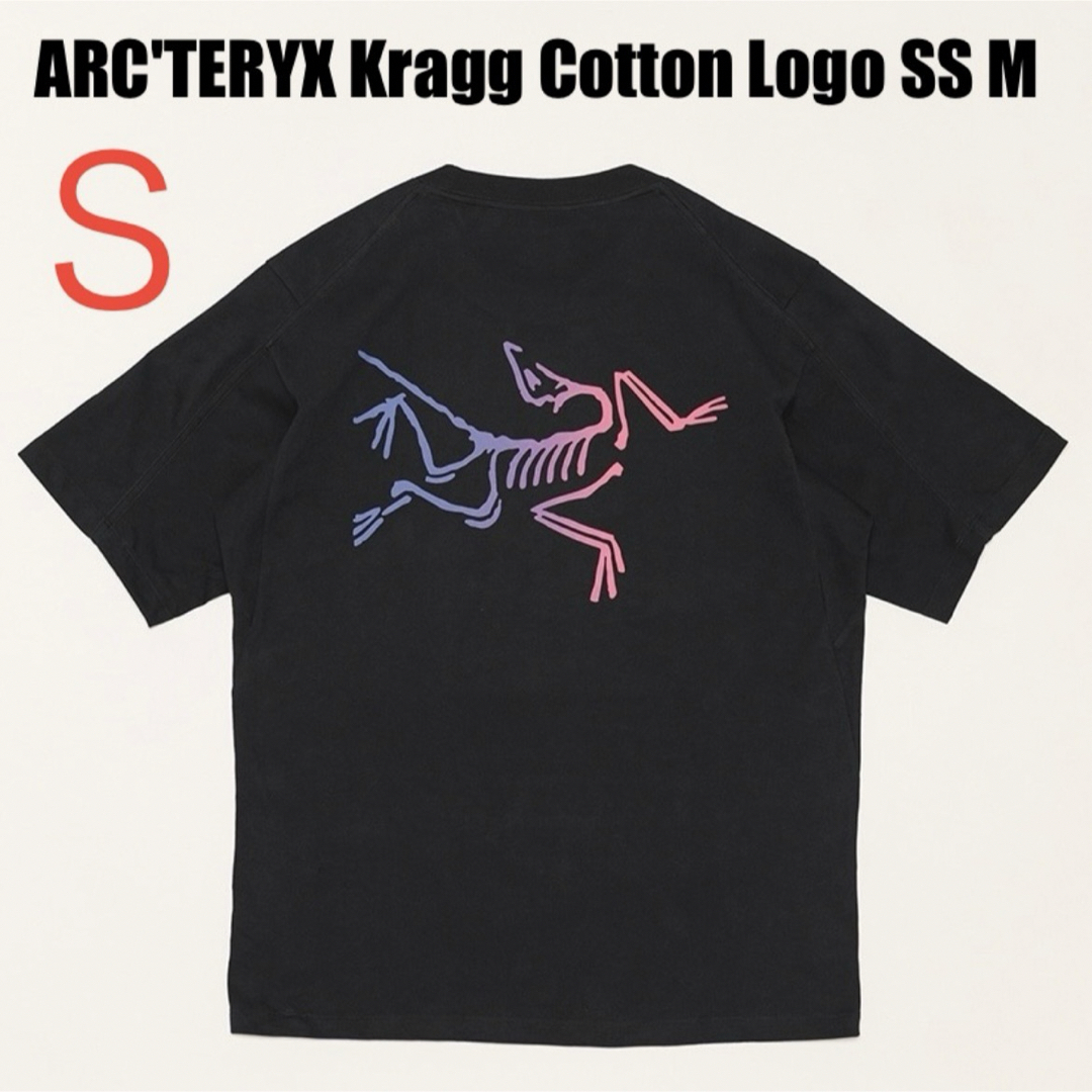 ARC'TERYX - ARC'TERYX アークテリクス クラグコットンロゴ T ARC'TERYX - ARC'TERYX アークテリクス クラグコットンロゴ T