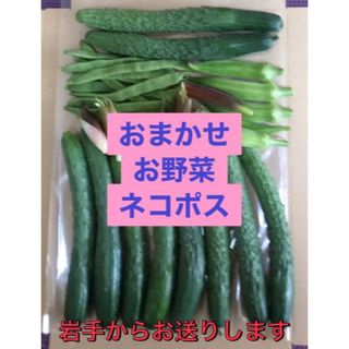 おまかせお野菜　ネコポス②(野菜)