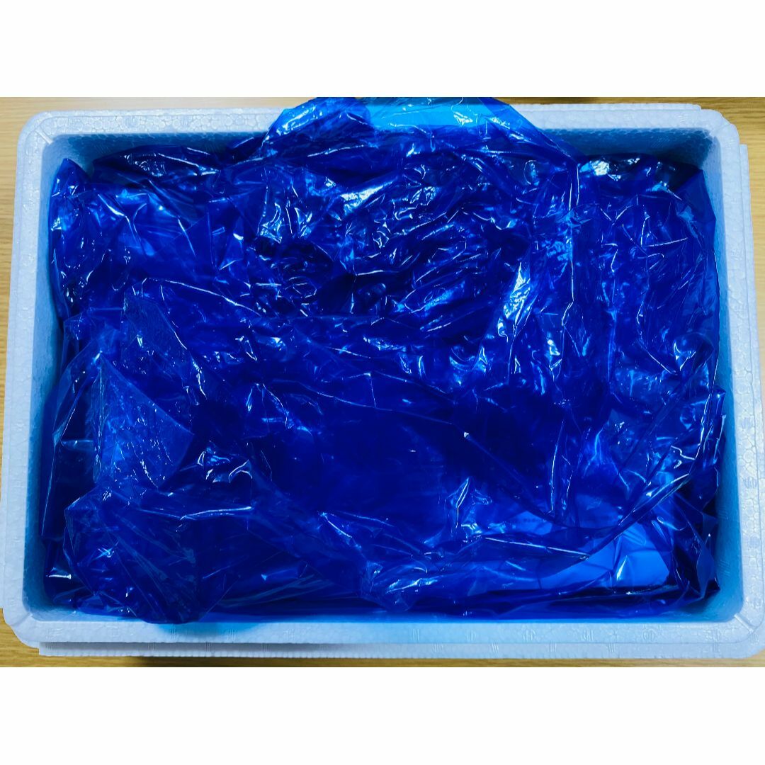 Blu-ray サカナクションLIVE FISH COMPLETE BOX
