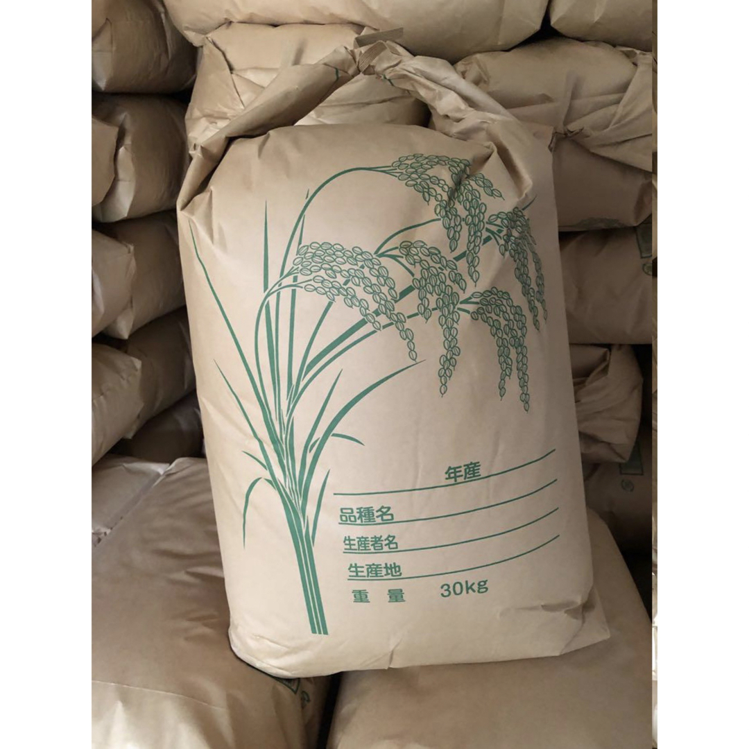 新米 令和6年産 茨城県産 ミルキークイーン 玄米 30kg 新米 令和6年産 茨城県産 ミルキークイーン 玄米 30kg