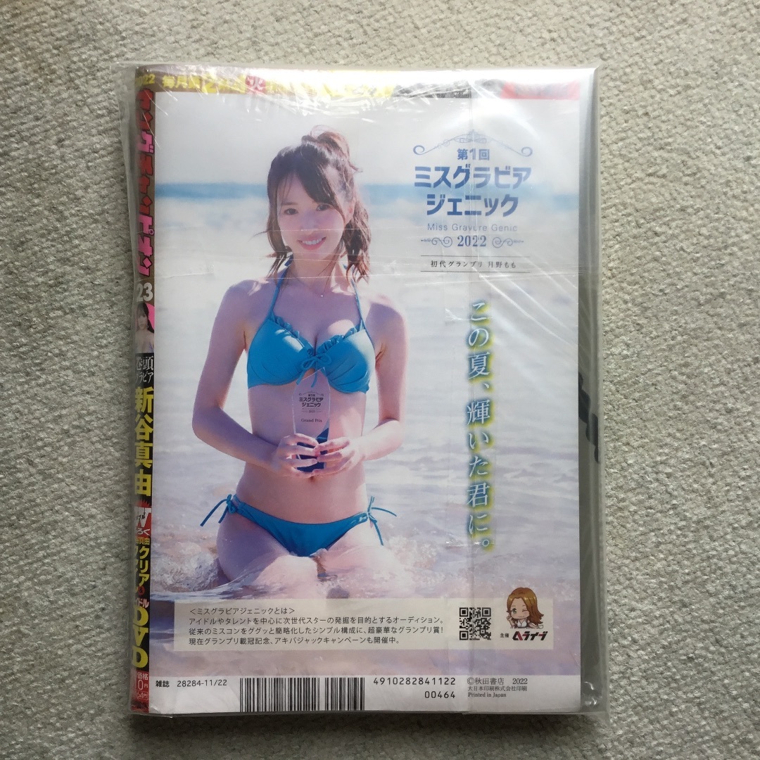 ヤングチャンピオン2022年10/11号新品クリアファイルDVD未開封付 秋田書店 - ヤングチャンピオン 2022年 10/11号新品クリア