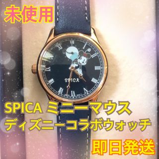 ディズニーファンミニーオリジナルリストウォッチ☆新品数量限定品