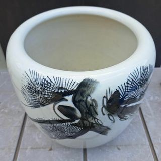 睡蓮鉢 中古のフリマアイテム一覧 睡蓮鉢 中古のフリマアイテム一覧