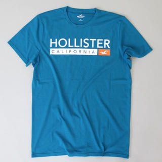 ホリスター(Hollister)のkota様専用(Tシャツ/カットソー(半袖/袖なし))