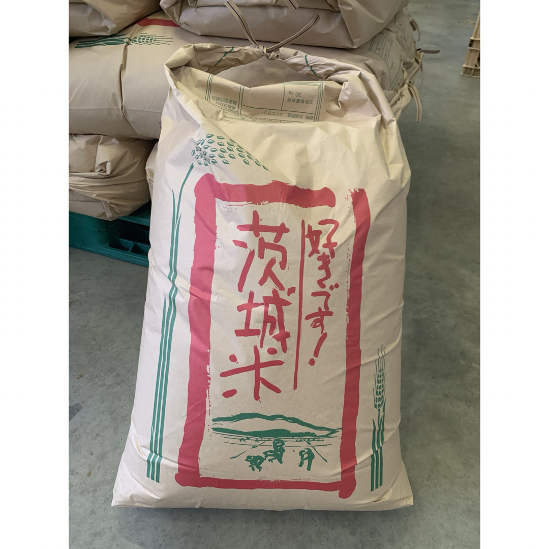 令和6年産新米 コシヒカリ 茨城県産 農家直送 玄米30kg 米/穀物 令和6年産新米 コシヒカリ 茨城県産 農家直送 玄米30kg 米/穀物