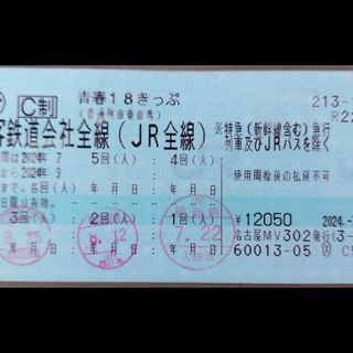 青春18きっぷ　2回(鉄道乗車券)