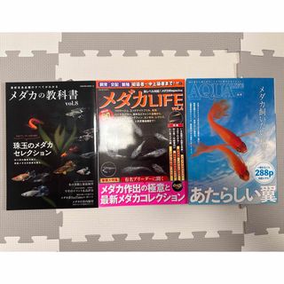 メダカ雑誌　美品　3冊セット