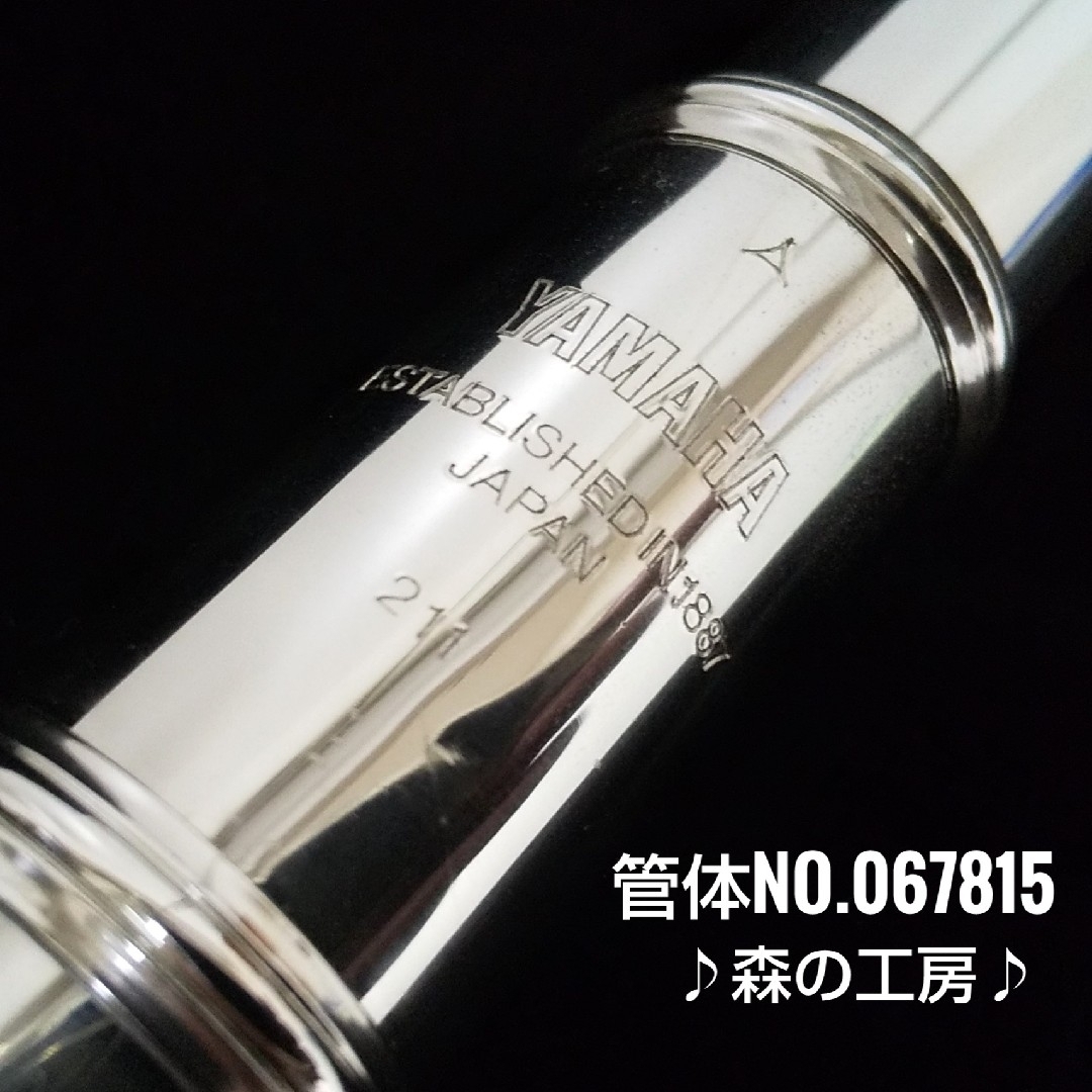 商談中【ポルキロ様専用】部活応援‼️ヤマハフルートYFL211 Eメカ 商談中【ポルキロ様専用】部活応援‼️ヤマハフルートYFL211 Eメカ