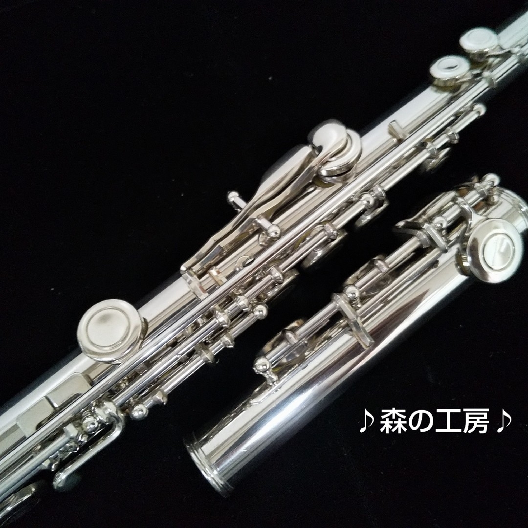 商談中【ポルキロ様専用】部活応援‼️ヤマハフルートYFL211 Eメカ 商談中【ポルキロ様専用】部活応援‼️ヤマハフルートYFL211 Eメカ