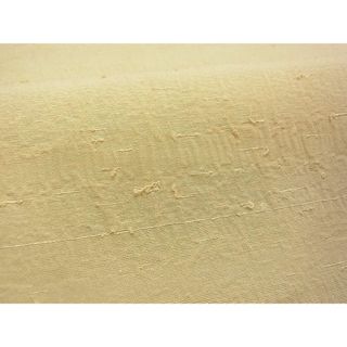 平和屋着物■上質な色無地　御召縮緬　丁子色　逸品　CAAF8946vf(着物)