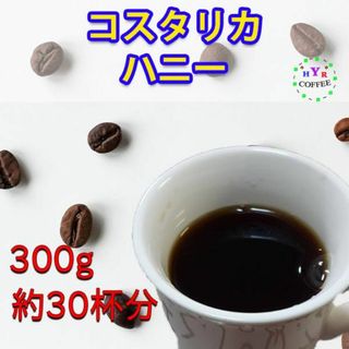 【自家焙煎】コスタリカ・ハニー 300g 芳醇な香り！アイスコーヒーにも最適