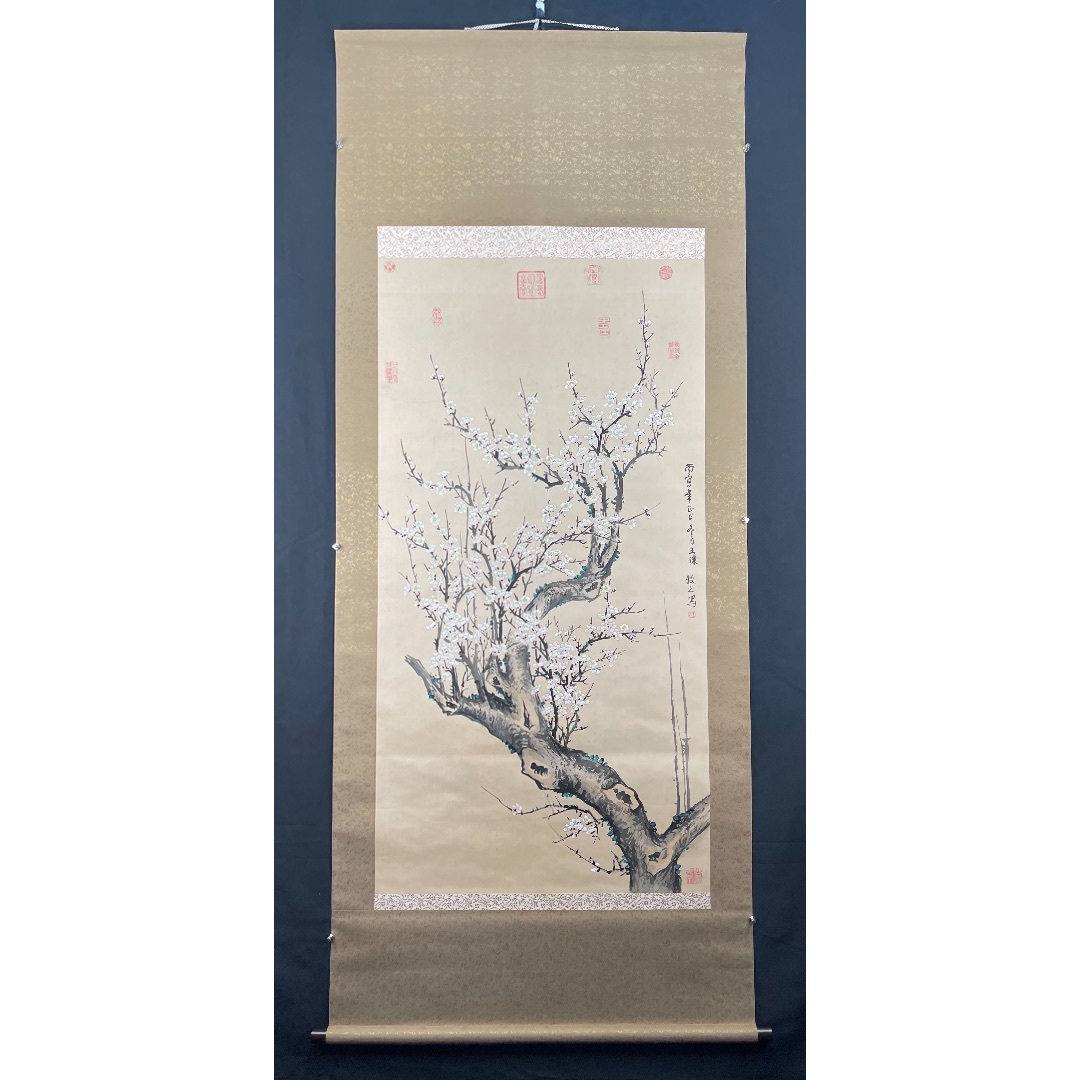 梅花11