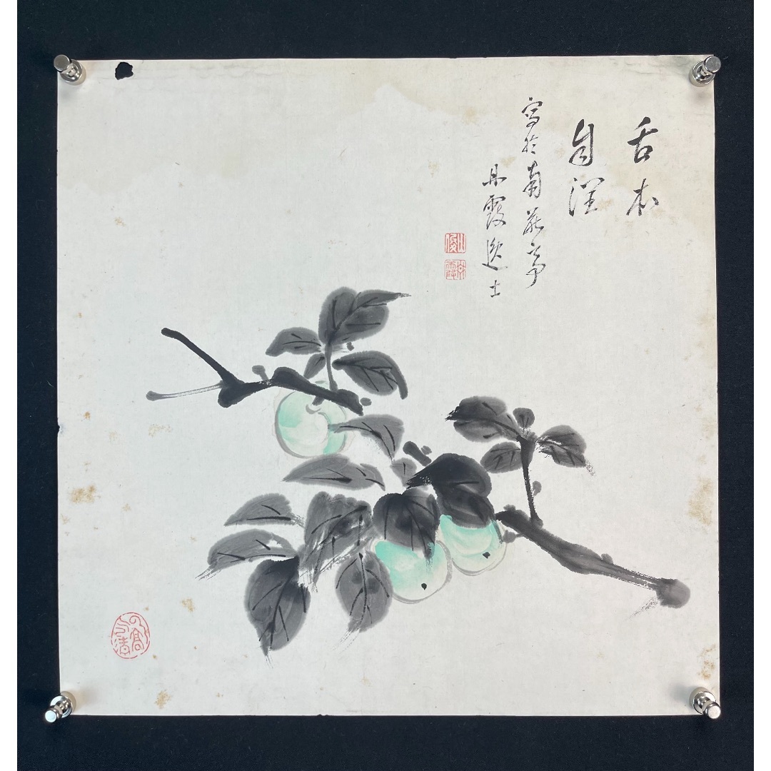 画片91