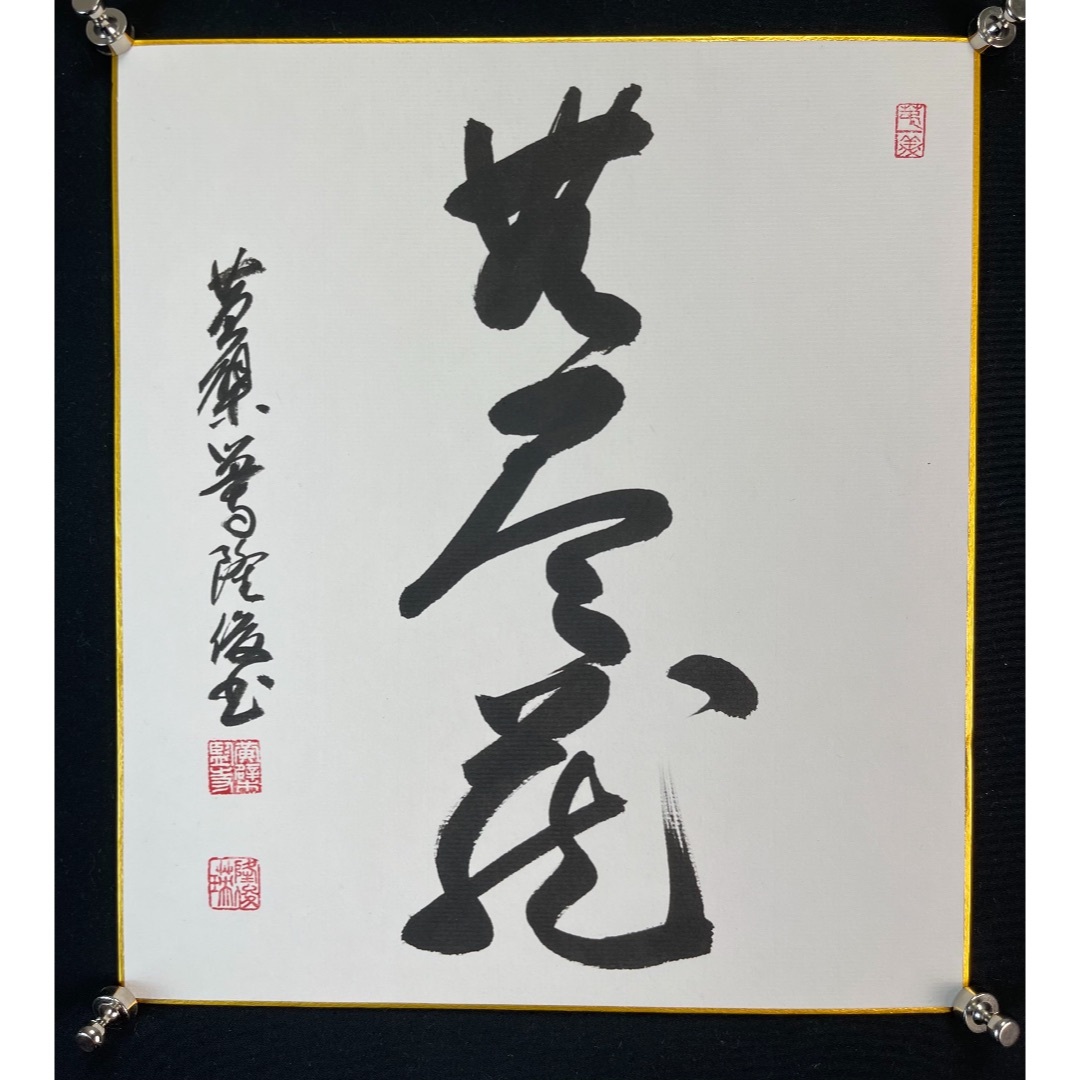 画片95
