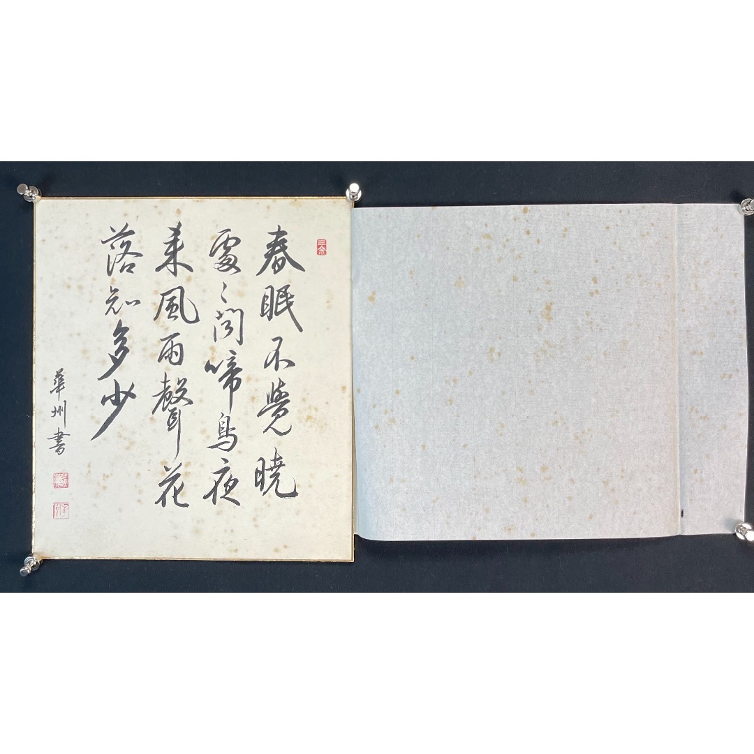 画片96