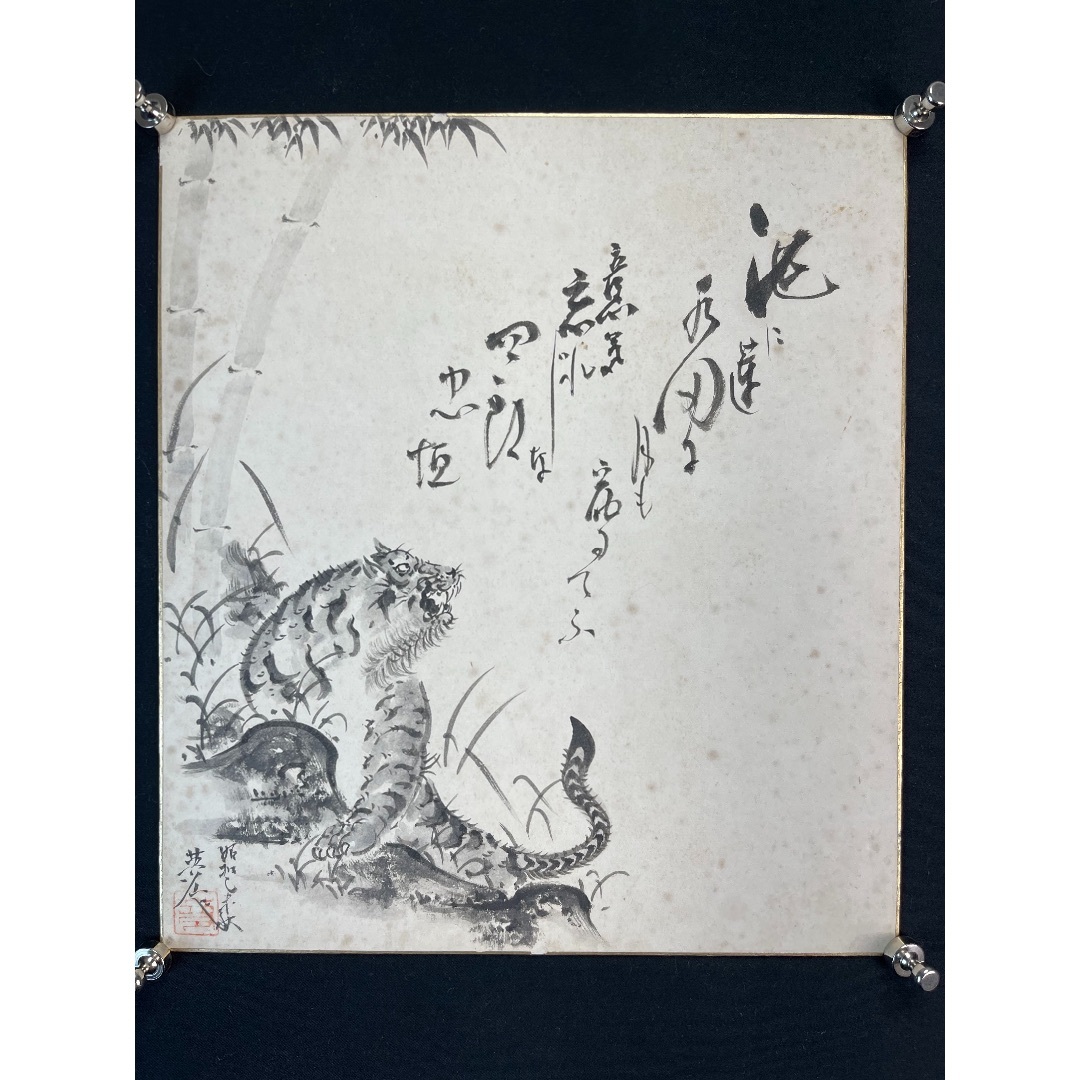 画片98