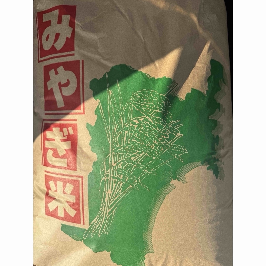 宮城県産 令和5年産 ひとめぼれ 玄米 30kg 米/穀物 宮城県産 令和5年産 ひとめぼれ 玄米 30kg 米/穀物
