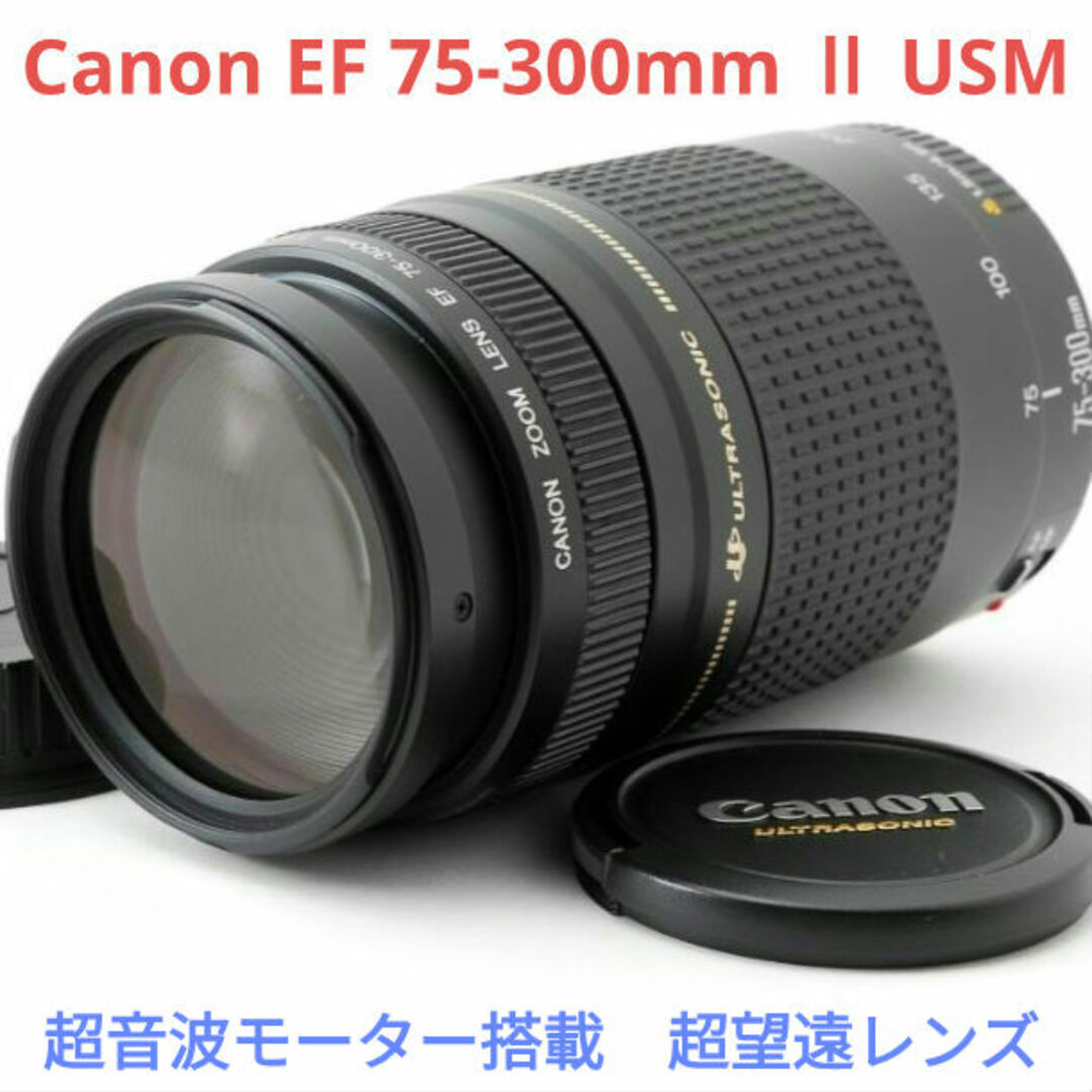 ❤️お得❤️キャノン用❤️300mm❤️超望遠❤️ズームレンズ ❤️お得❤️キャノン用❤️300mm❤️超望遠❤️ズームレンズ