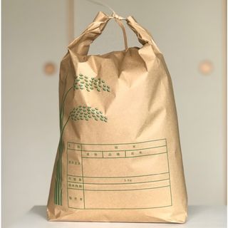 キヌヒカリ 精米5kg 令和5年産(米/穀物)