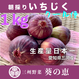 翌日クール便 箱込約1㌔ いちじく サマーレッド 家庭用 業務用 イチヂク (フルーツ)
