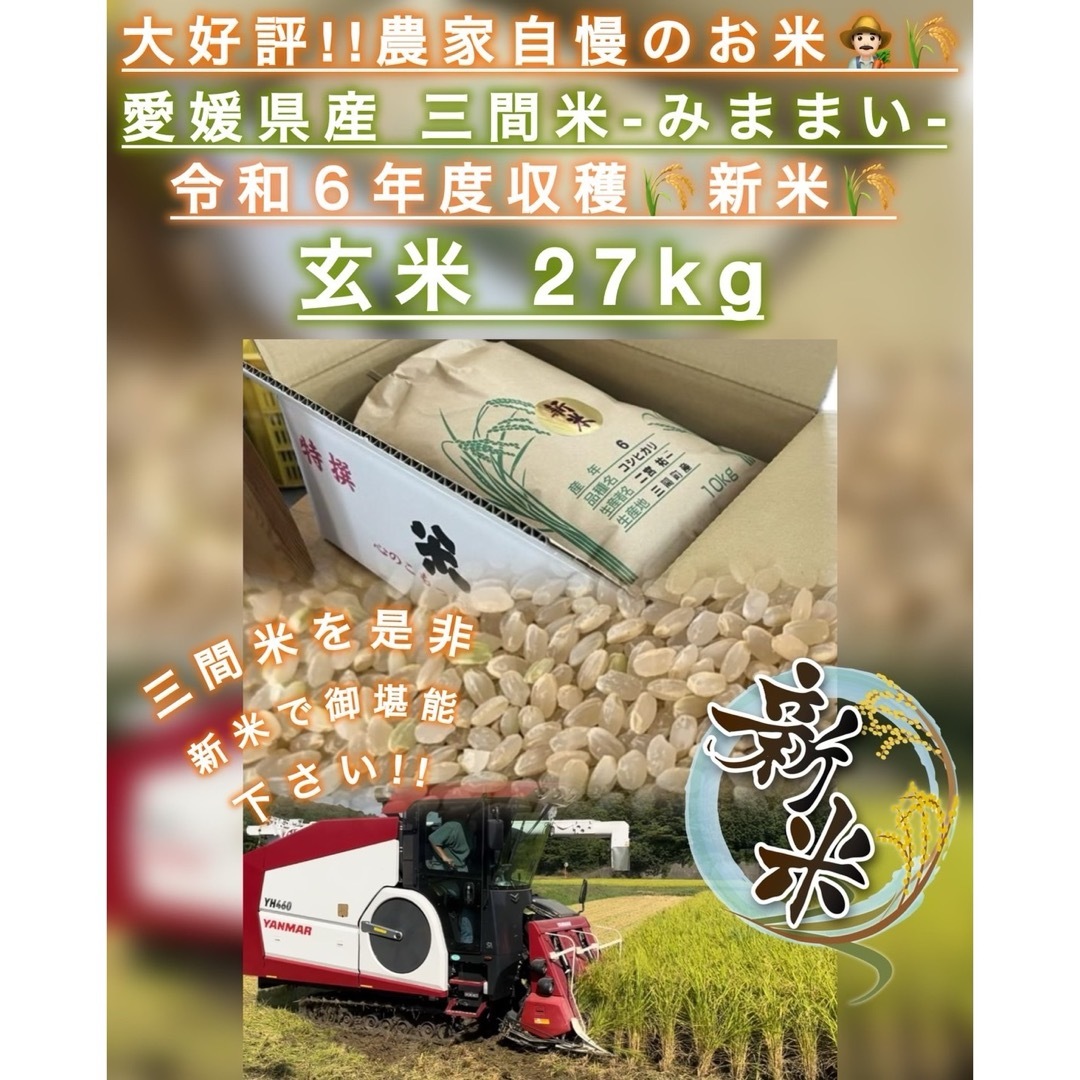 新米 愛媛県産 みままい 玄米 27kg コシヒカリ 農家直送 令和6年 新米 愛媛県産 みままい 玄米 27kg コシヒカリ 農家直送 令和6年