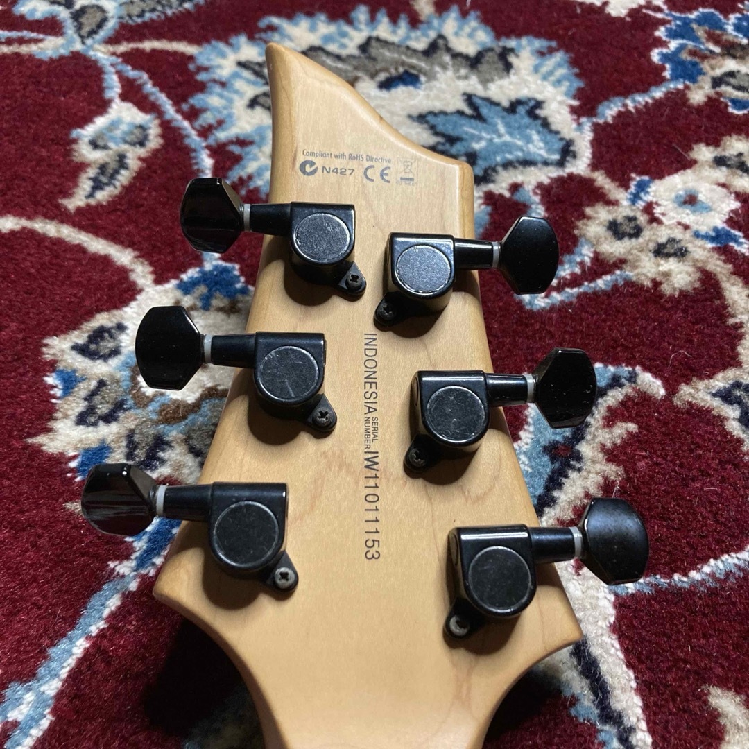 GrassRoots G-FR-50 グラスルーツ フォレスト ブラック ギター GrassRoots G-FR-50 グラスルーツ フォレスト ブラック ギター