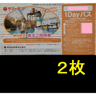 東京サマーランド 春秋限定 株主優待券 2枚 2024年10月期限(プール)
