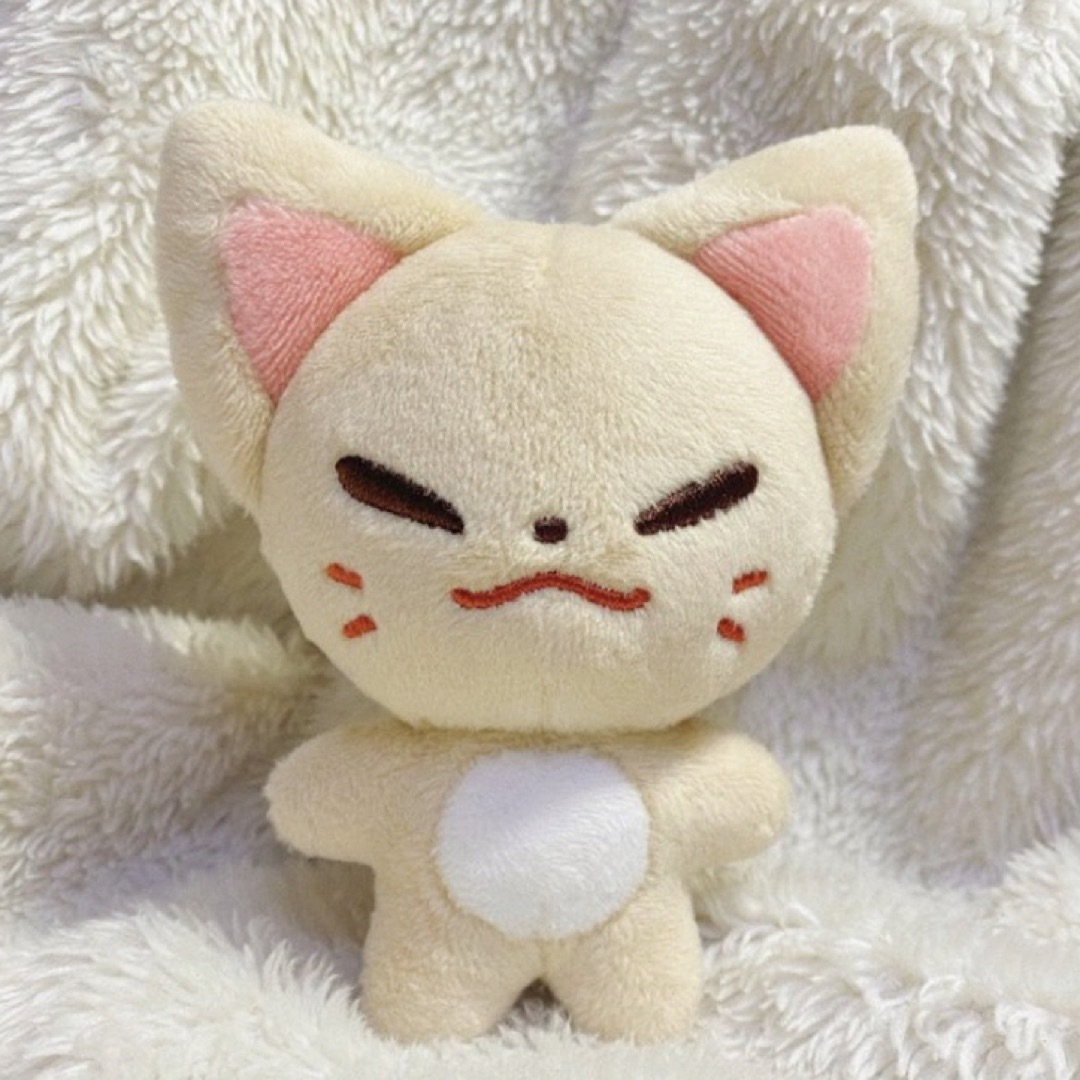 (未開封)10cmぬいぐるみ アイエン マジックスクール Stray Kids - アイエン 10cm ぬいぐるみ 短毛の通販 by