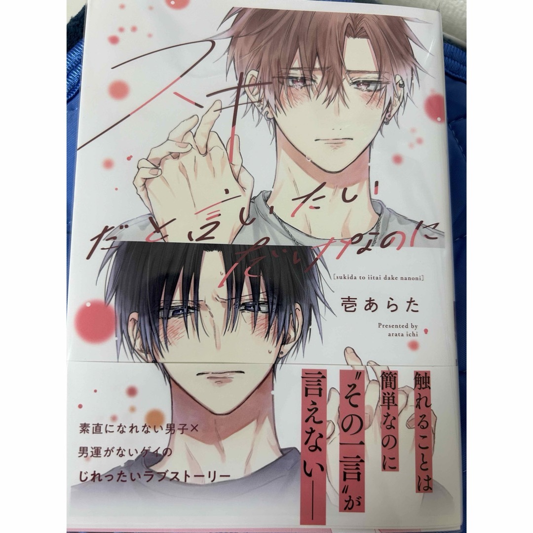集英社(シュウエイシャ)のスキだと言いたいだけなのに エンタメ/ホビーの漫画(ボーイズラブ(BL))の商品写真