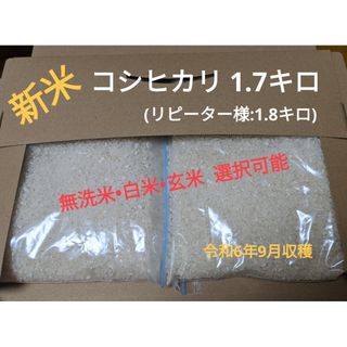 令和6年度新米コシヒカリ1.7キロ(無洗米可)(米/穀物)