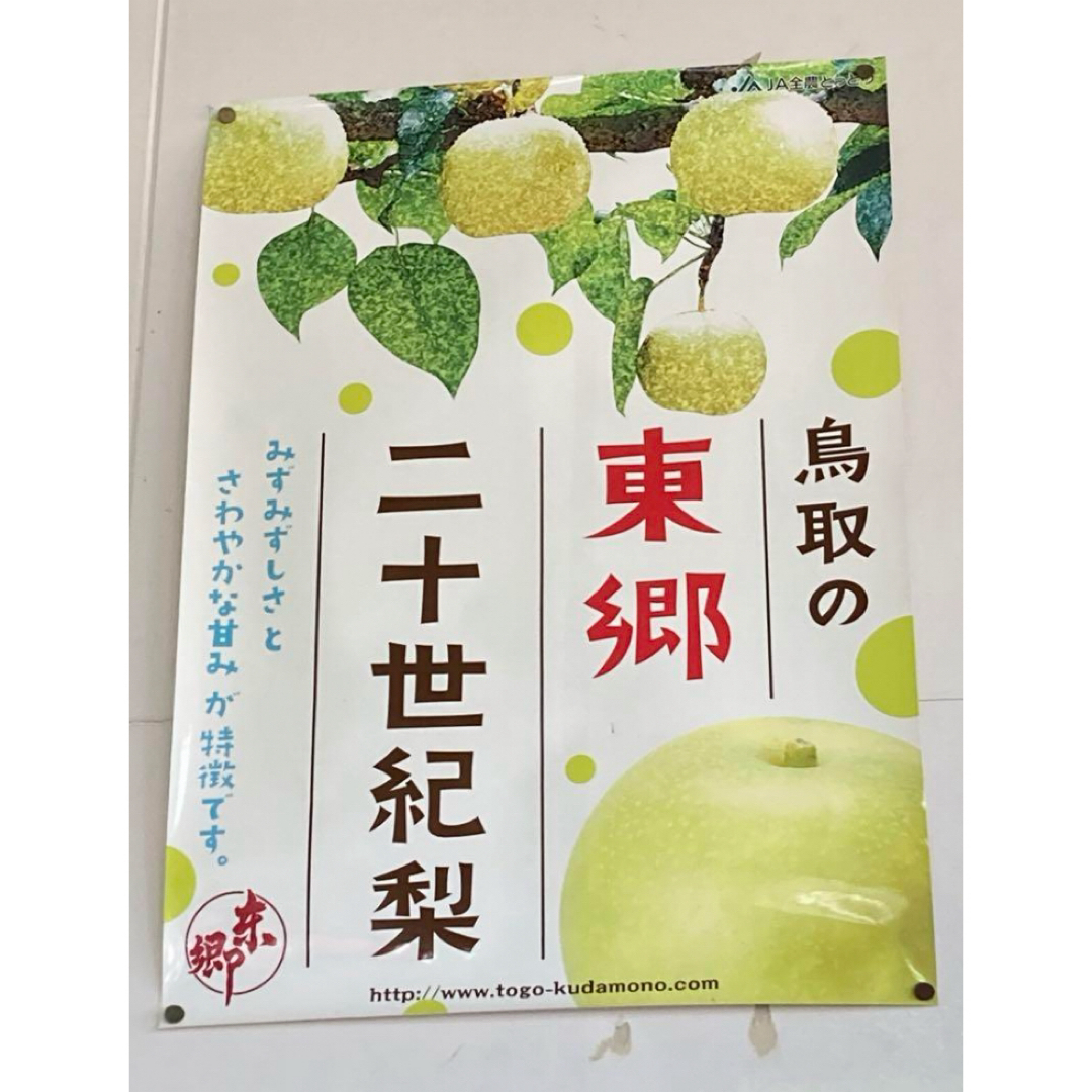 今が旬　規格外　鳥取の1番梨　東郷産　二十世紀梨　中小玉　32玉　10ＫＧ箱