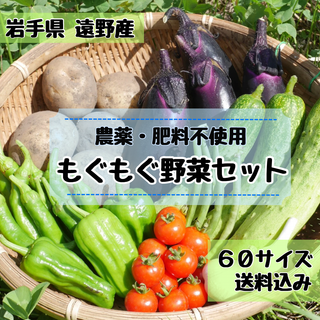 \\農家直送 子どもも喜ぶ野菜// 野菜詰め合わせ 60サイズ《農薬不使用》(野菜)