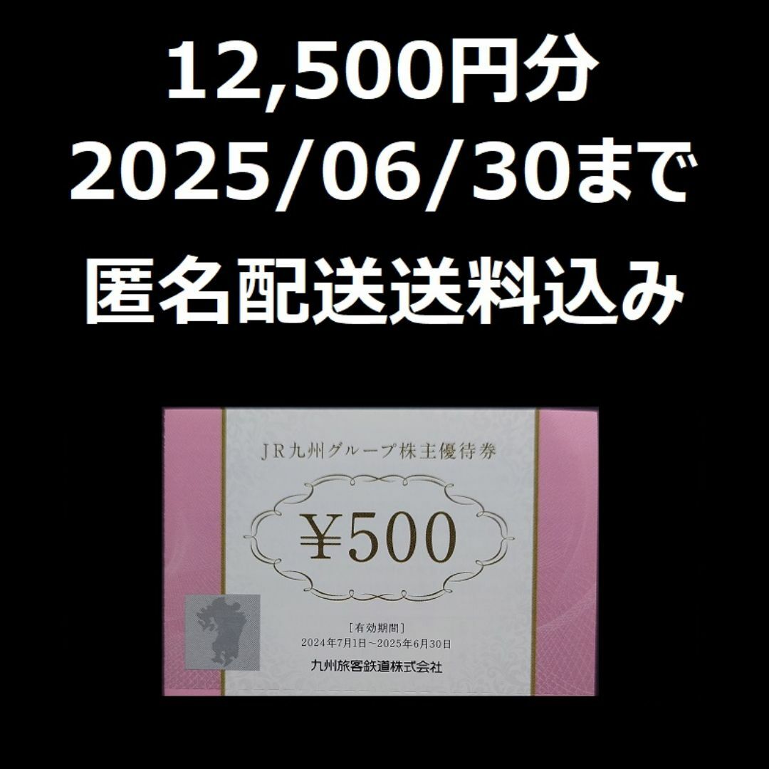 JR九州 株主優待 JR九州グループ株主優待券 12500円分 JR九州 株主優待 JR九州グループ株主優待券 12500円分